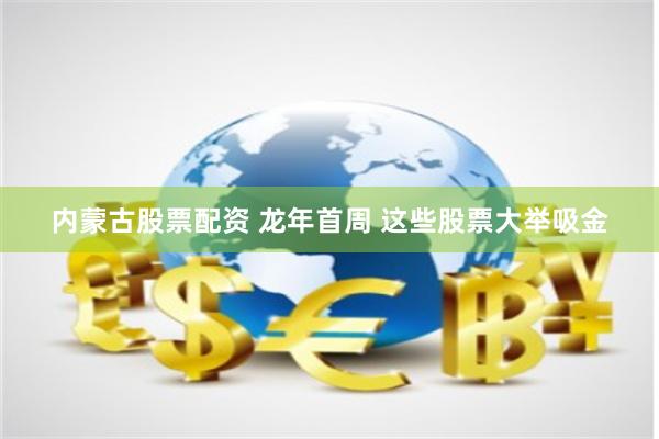 内蒙古股票配资 龙年首周 这些股票大举吸金