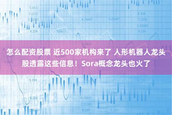 怎么配资股票 近500家机构来了 人形机器人龙头股透露这些信息！Sora概念龙头也火了